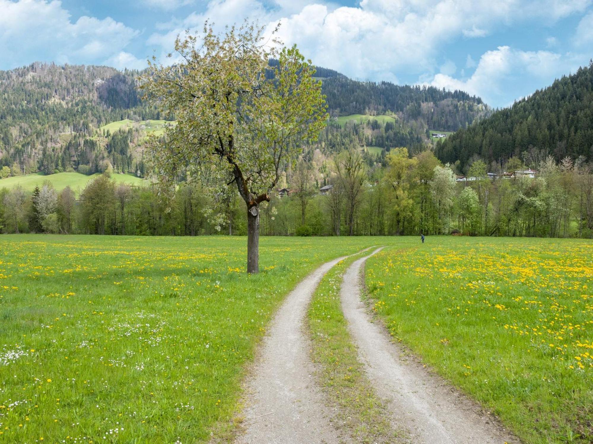 Property In Kirchbichl Dış mekan fotoğraf